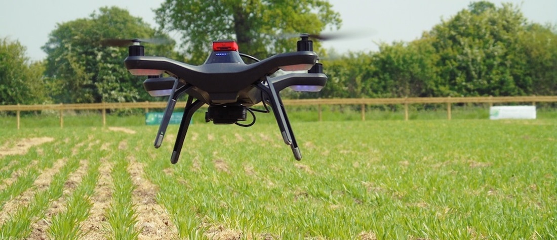Un dron vuela sobre un campo de cultivo verde 